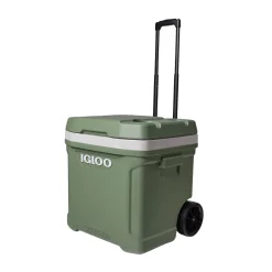 ECOCOOL Latitude 60 Qt Køleboks 58 L-IGLOO Sale