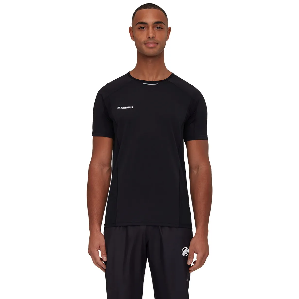 Aenergy FL T-shirt, herre-MAMMUT New