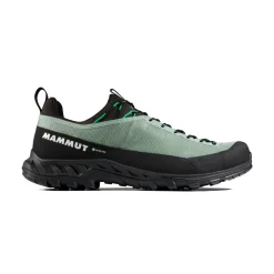 Alnasca IV Low GTX approachsko, herre (Deep Silver Sage / Pinea)-MAMMUT