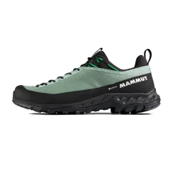 Alnasca IV Low GTX approachsko, herre (Deep Silver Sage / Pinea)-MAMMUT