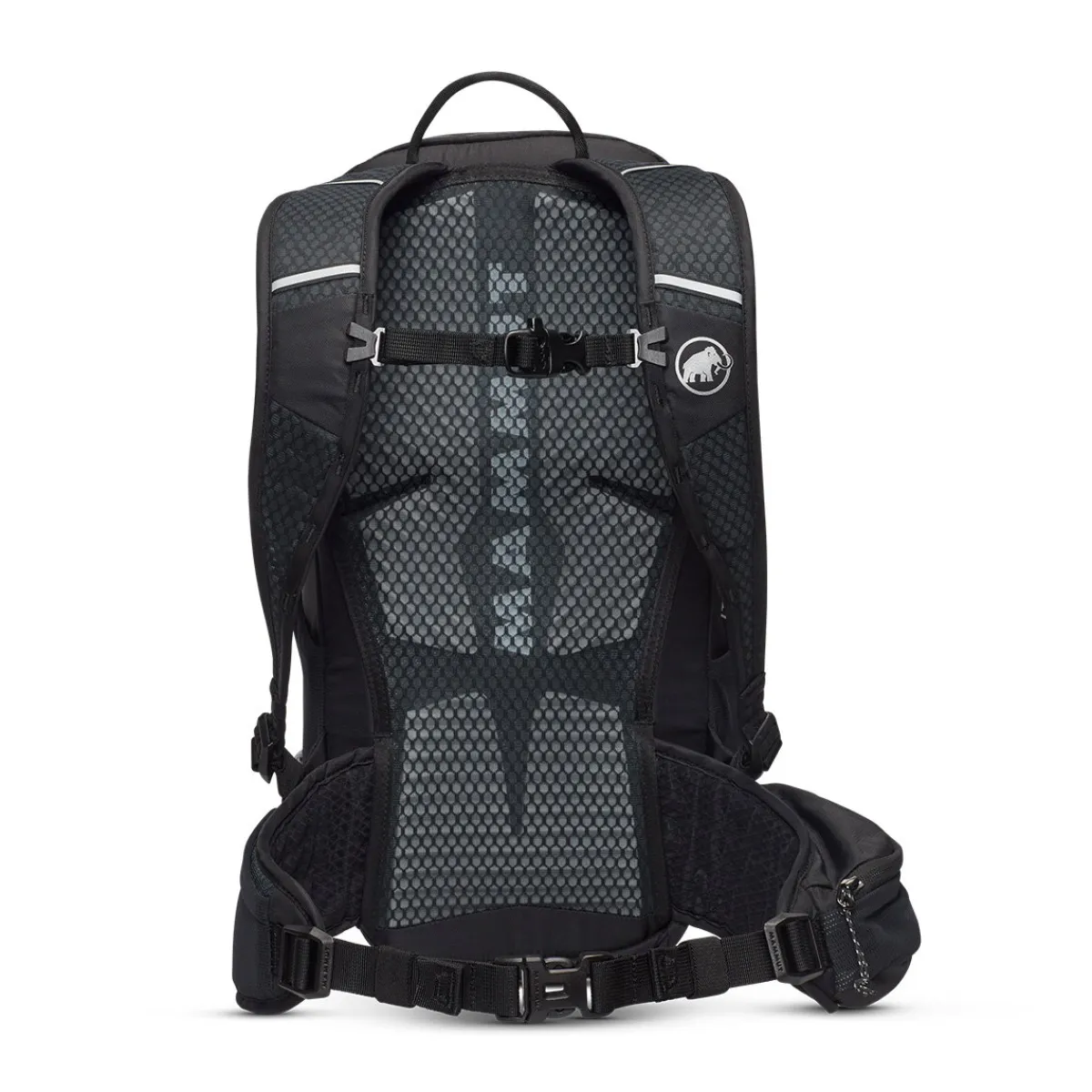 Lithium rygsæk 20 L, dame (Calamint Black)-MAMMUT