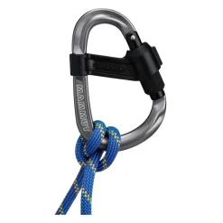 Smart HMS 2.0 skruekarabin-MAMMUT Sale